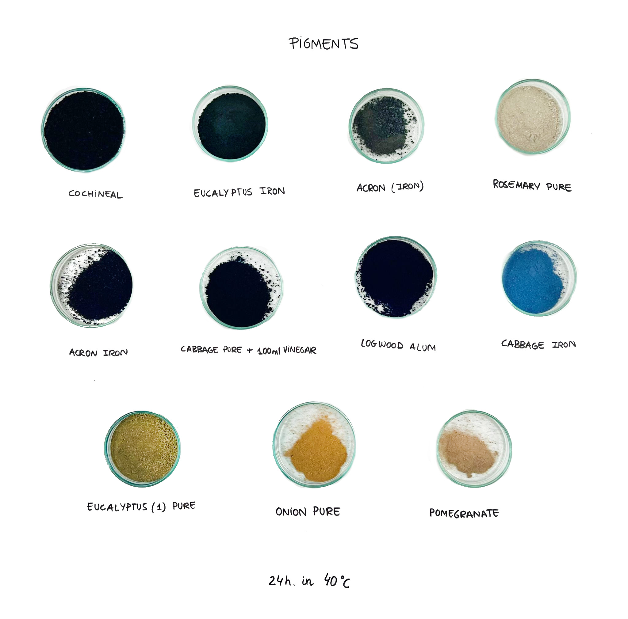 4. BioChromes Emma Picanyol
